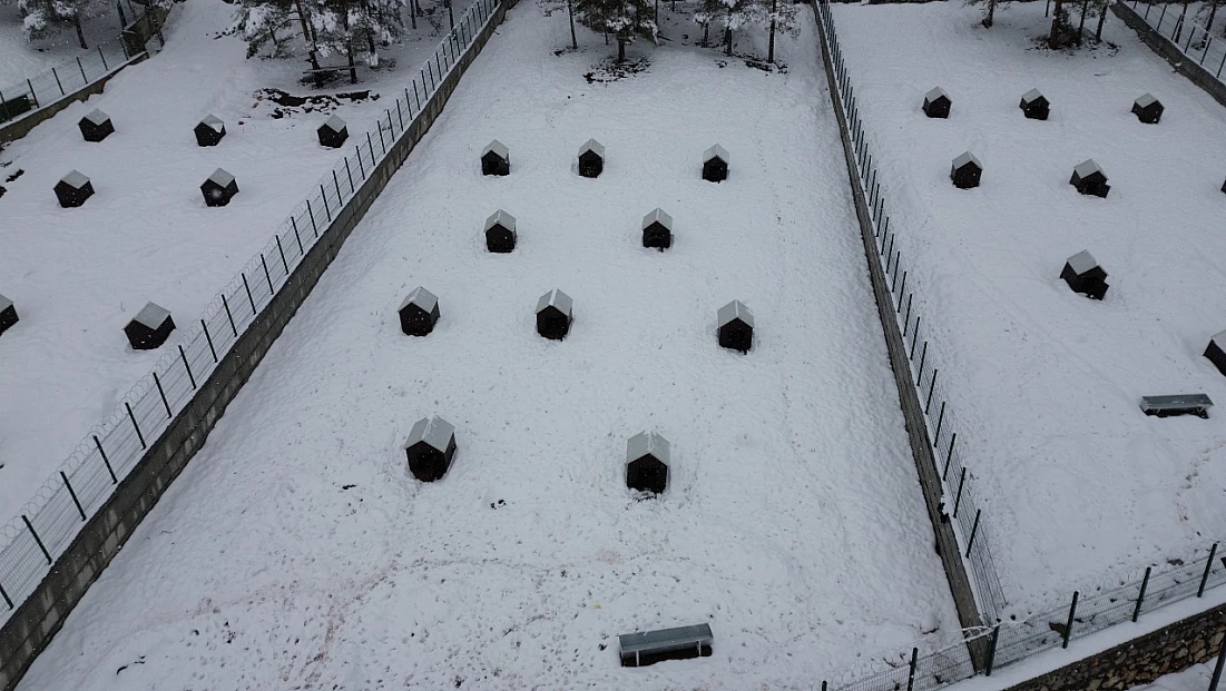 Battalgazi’de Sahipsiz Hayvanlara Yeni Umut