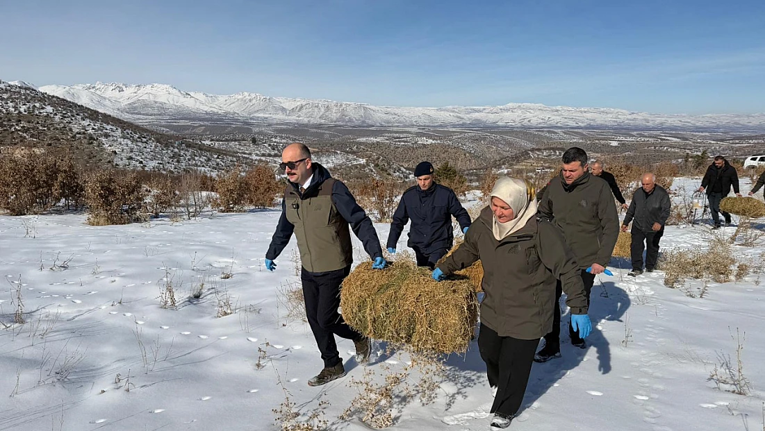 Eskiköy’de Yaban Hayatı İçin Ortak Çalışma