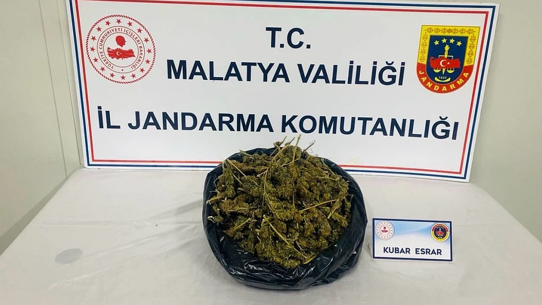 Jandarma Malatya’da Büyük Operasyon Düzenledi, 1,5 Kilo Esrar Ele Geçirildi