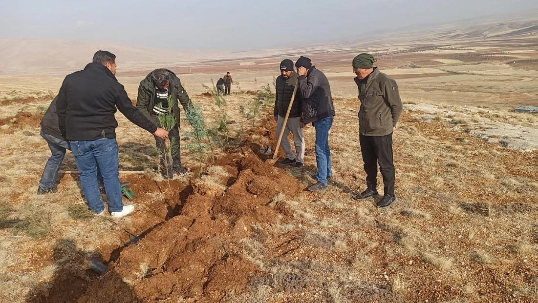 Yeniköy Mahallesi’nde 3 Bin Fidanlık Yeşil Atılım