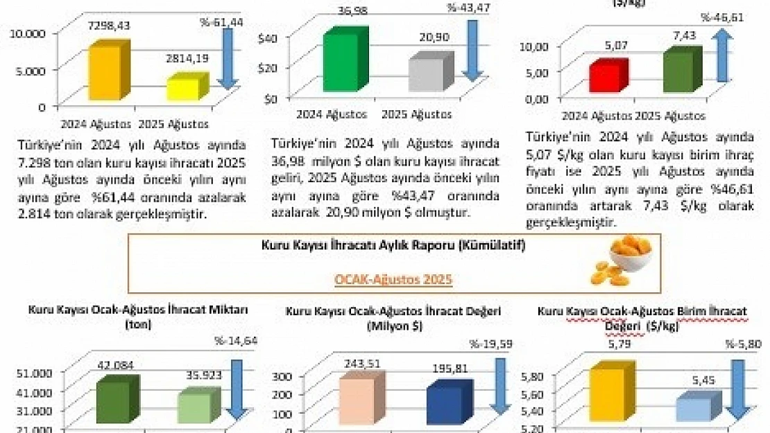 2025 yılı Ağustos ayı Kuru Kayısı Dış Ticaret Raporu Yayımlandı