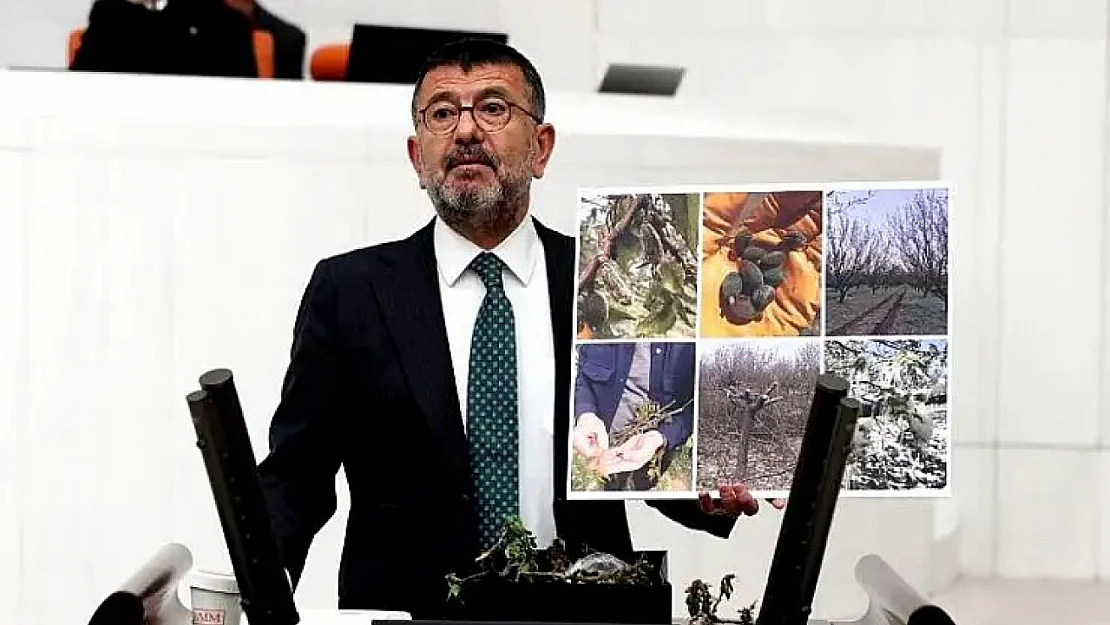 Ağbaba: Tüm Meyveler Yanmışken Neyin Tespiti Yapılıyor