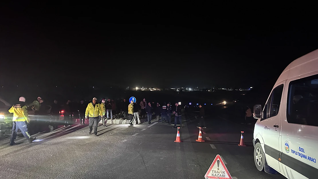 Akçadağ'da Tay Alarmı: 8 Tay Araçların Altında Kaldı