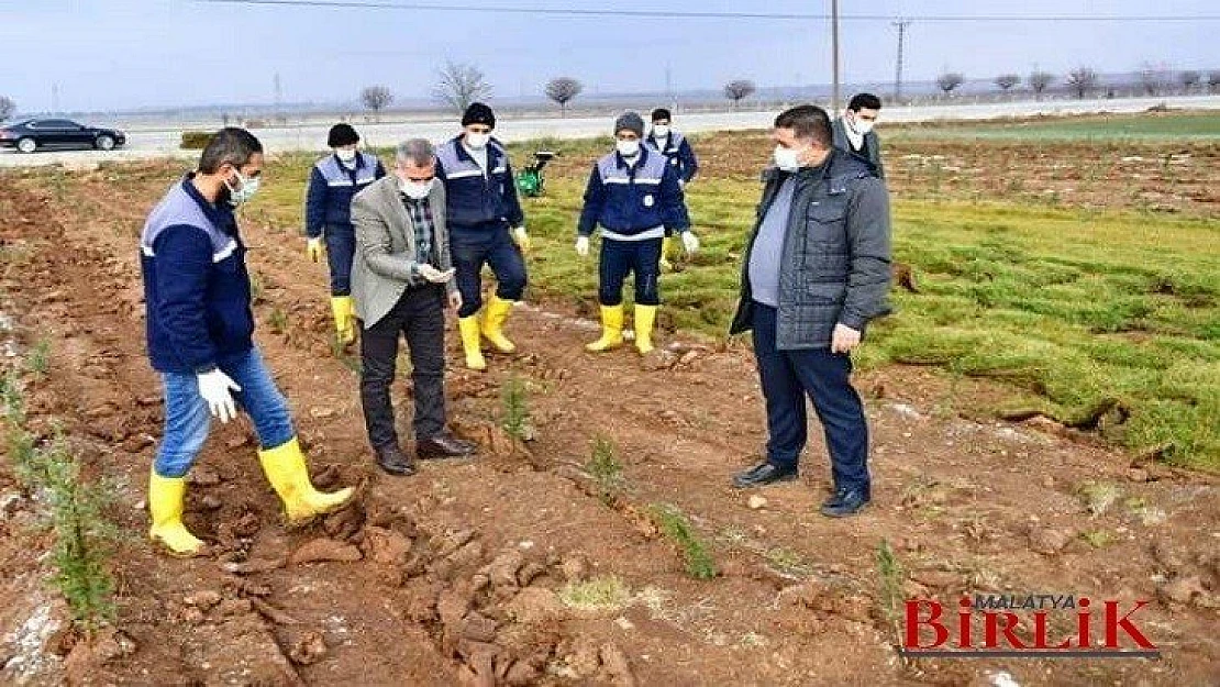 Başkan Çınar, Tarımsal Üretim Ve Ar-Ge Sahasında'ki Çalışmaları İnceledi