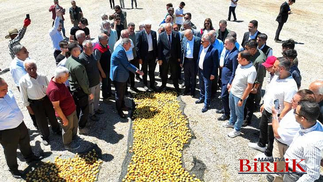 Başkan Er, Kayısı Festivali 19-21 Temmuz Tarihleri Arasında Yapılacak