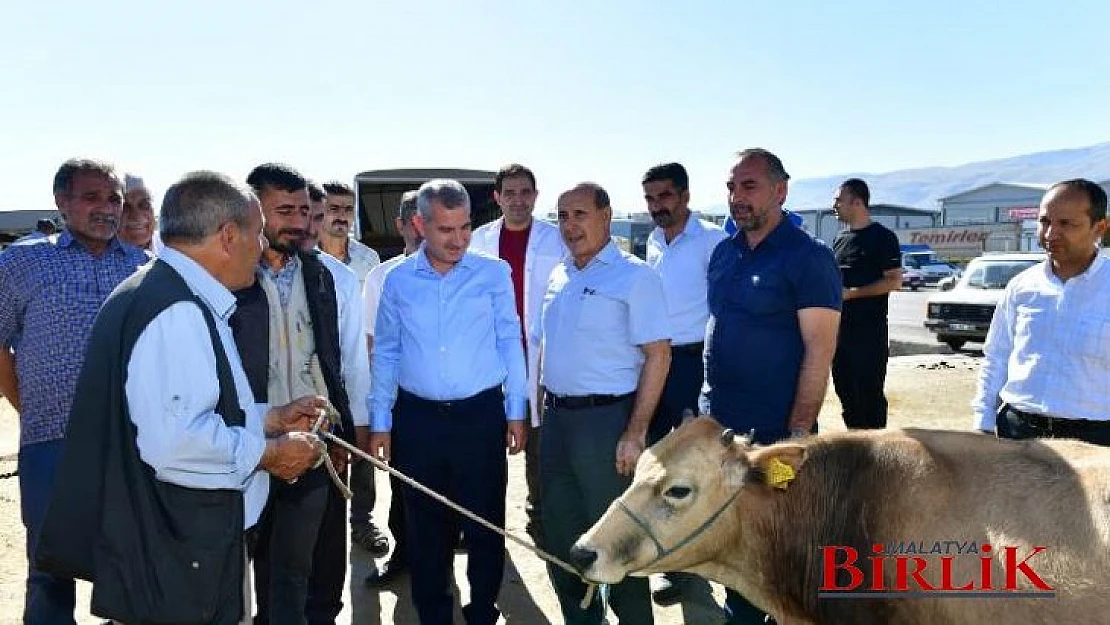 Canlı Hayvan Pazarı, Bölge Ekonomisinin Mihenk Taşıdır