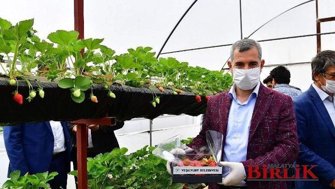 'Çiftçilerimize 100 Bin Adet Sebze Fidesi Dağıtıyoruz' 