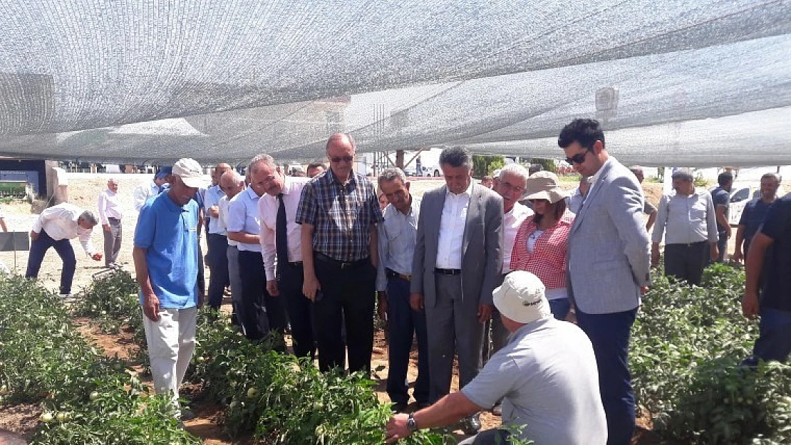 Tarımsal Ürünlerle İlgili 6 Aylık Çalışma Meyvesini Verdi