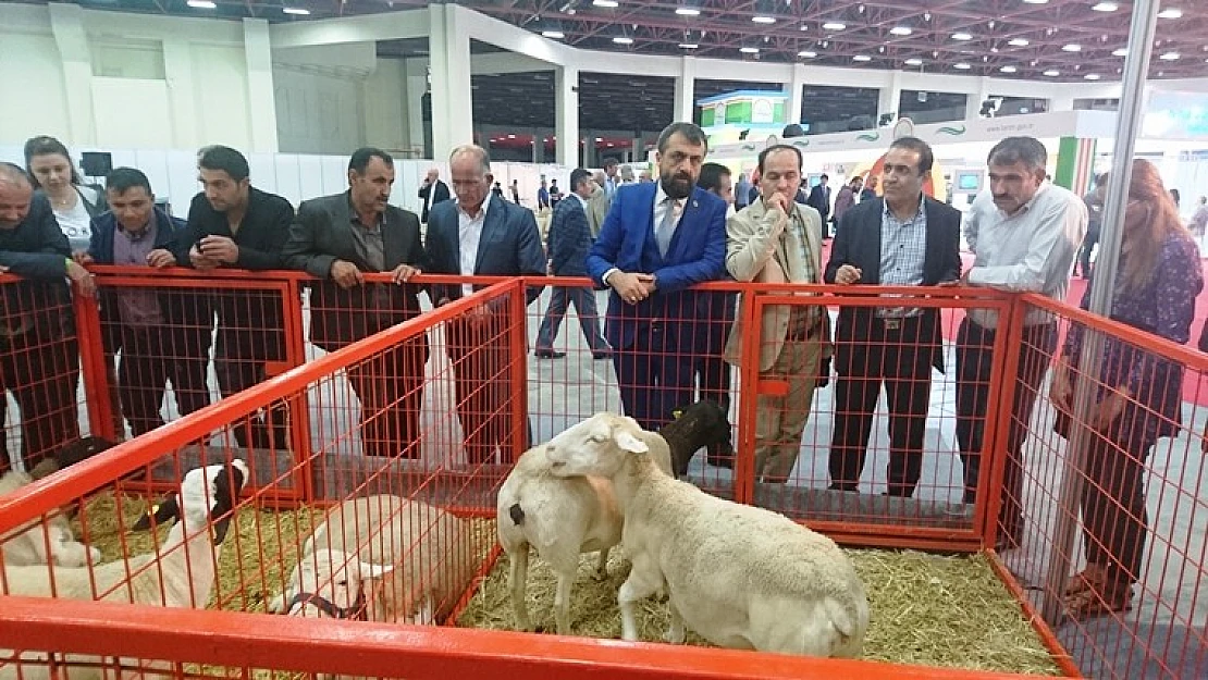 Akın, TÜDKİYEB Düzenlediği Fuara Katıldı