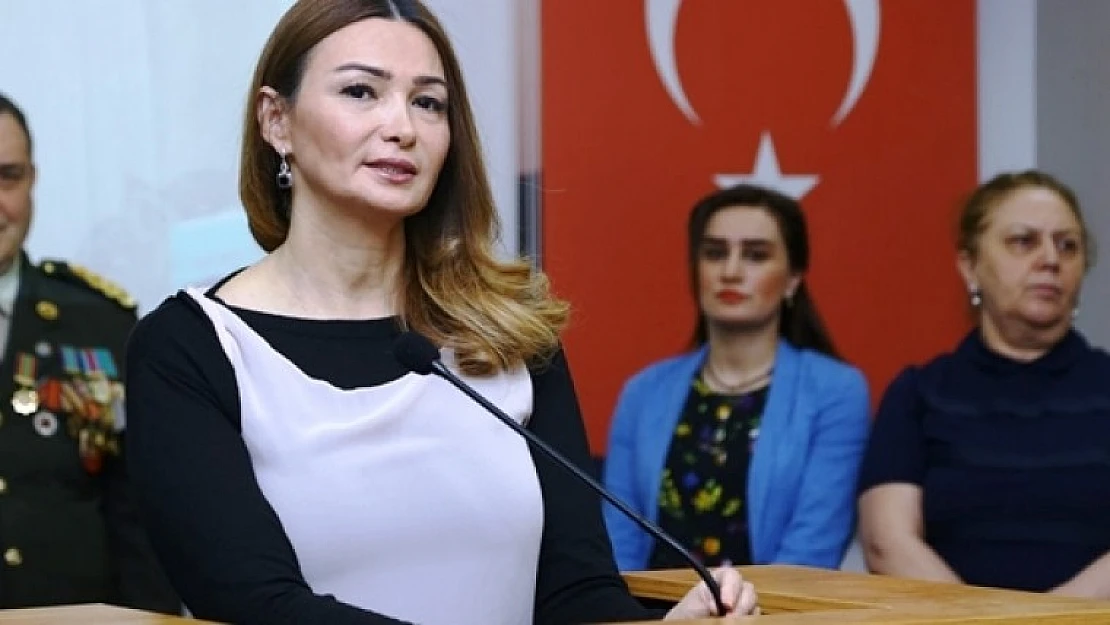 Tek Başına Türkiye'yi Savundu