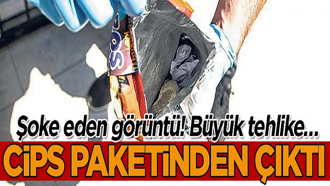 Şoke Eden Görüntü! Büyük Tehlike… Cips Paketinden Çıktı