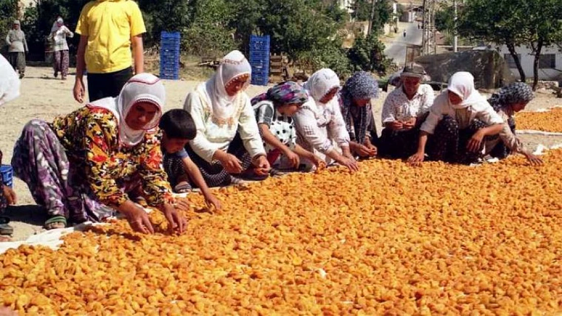 Herkesin Eli Üreticinin Cebinde