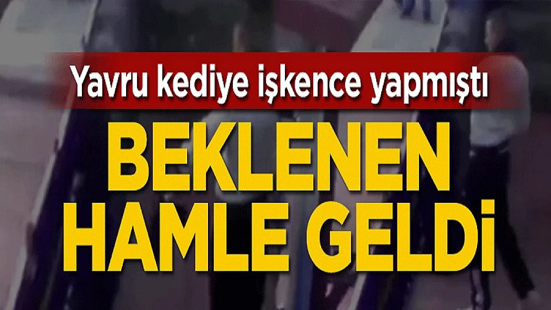 Kediye İşkence Etmişti! Hükümetten Beklenen Hamle Geldi