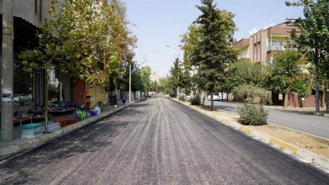 Eski Zey Caddesi'nde Asfalt Çalışması