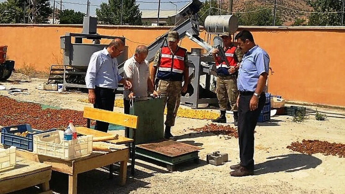 Kayısı Eylem Planı Kapsamında Kontroller Aralıksız Devam Edecek