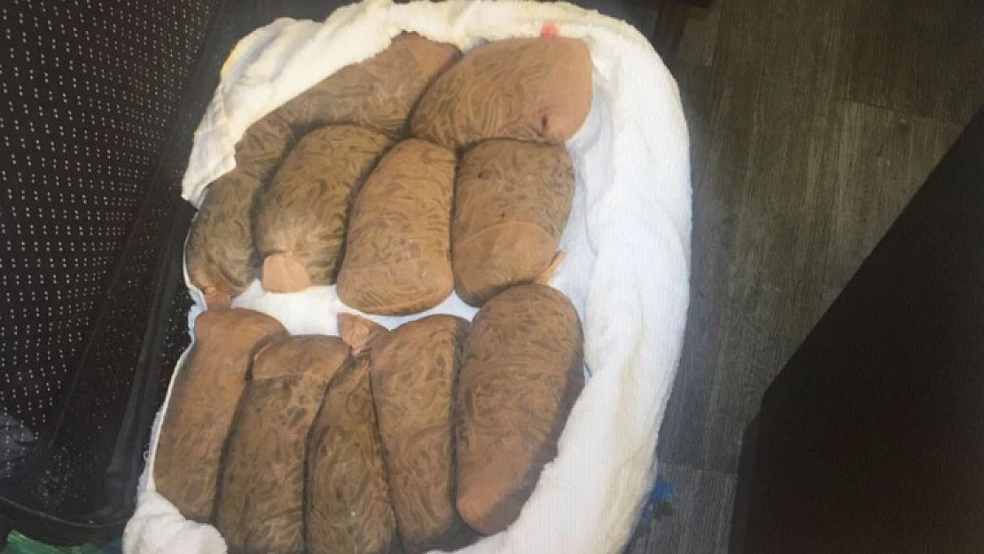 Gümrük Muhafaza Ekıplerınce 83 Kg Sülük Yakalandı