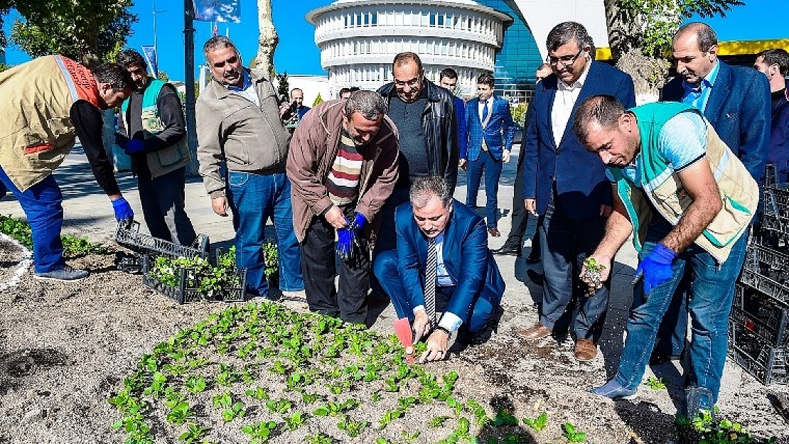 Güz Dönemi Çiçeklendirme Çalışmaları Başladı