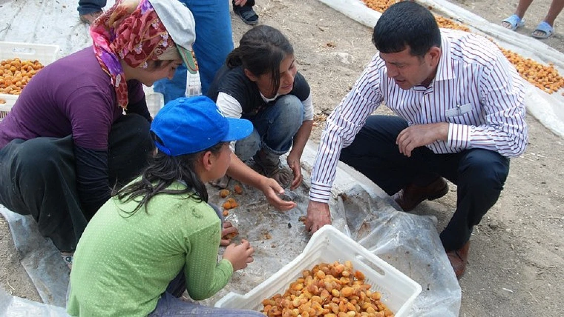 Ağbaba'dan Mevsimlik Tarım İşçileri İçin Araştırma Önergesi