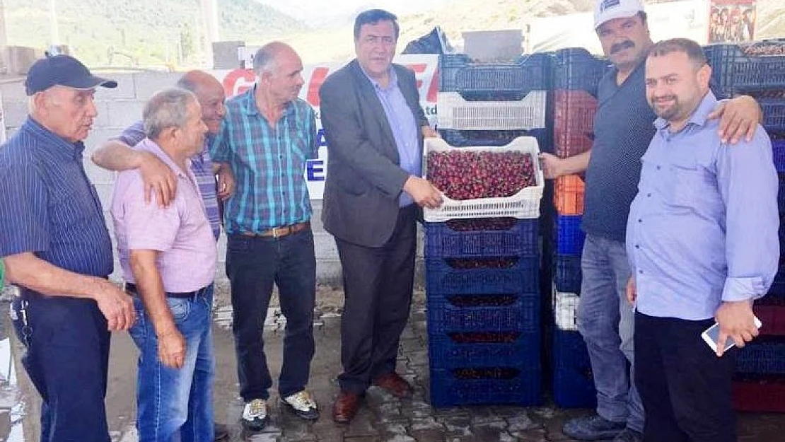 Kiraz Fiyatları Yarı Yarıya Düştü, Üretici Mağdur
