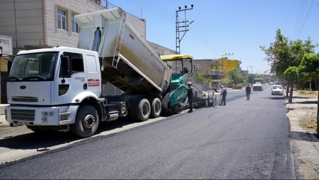 Zey Yolu Asfaltlandı