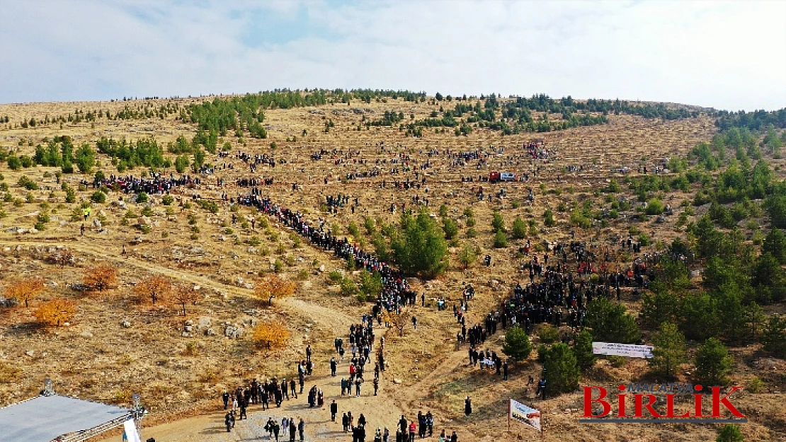 Gürkan,  Göreve Geldikten Sonra Malatya'daki Yeşil Alanı Katbekat Artırdık