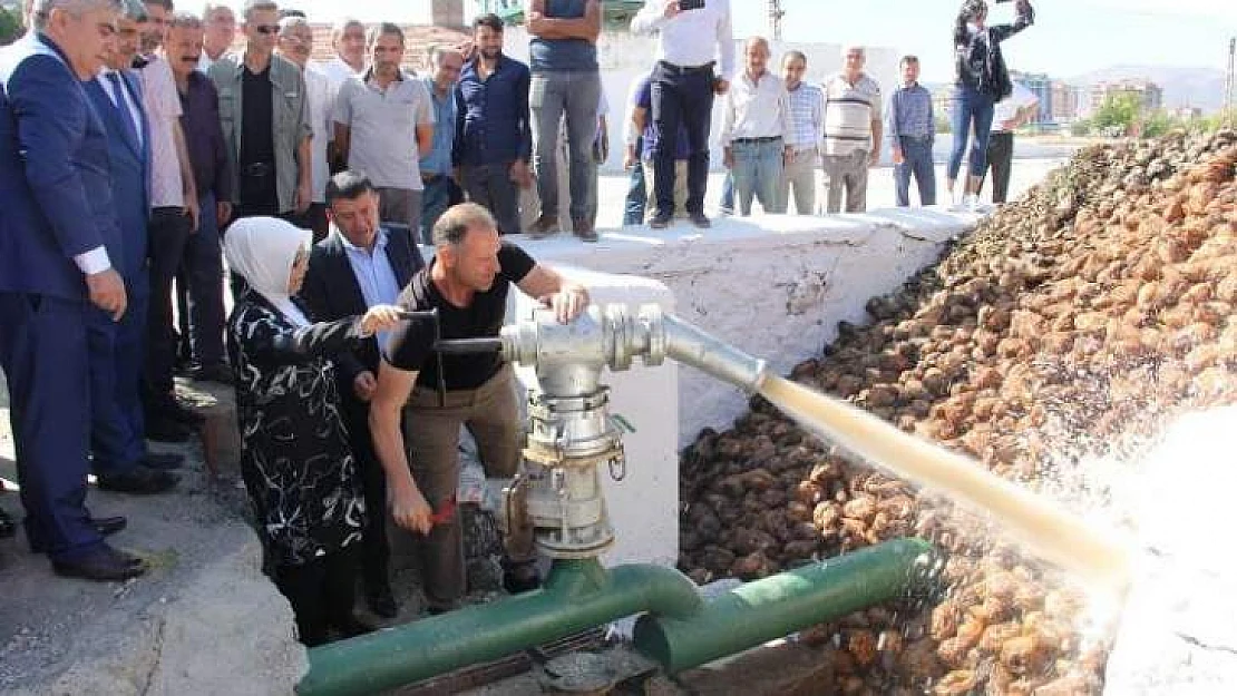 Çalık, Şeker Fabrikası'nın Pancar Alım Kampanyası Törenine Katıldı