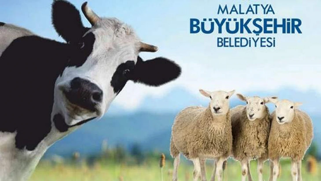 Kurban Kesim Kursu Başvuruları 31 Temmuz'da Sona Eriyor