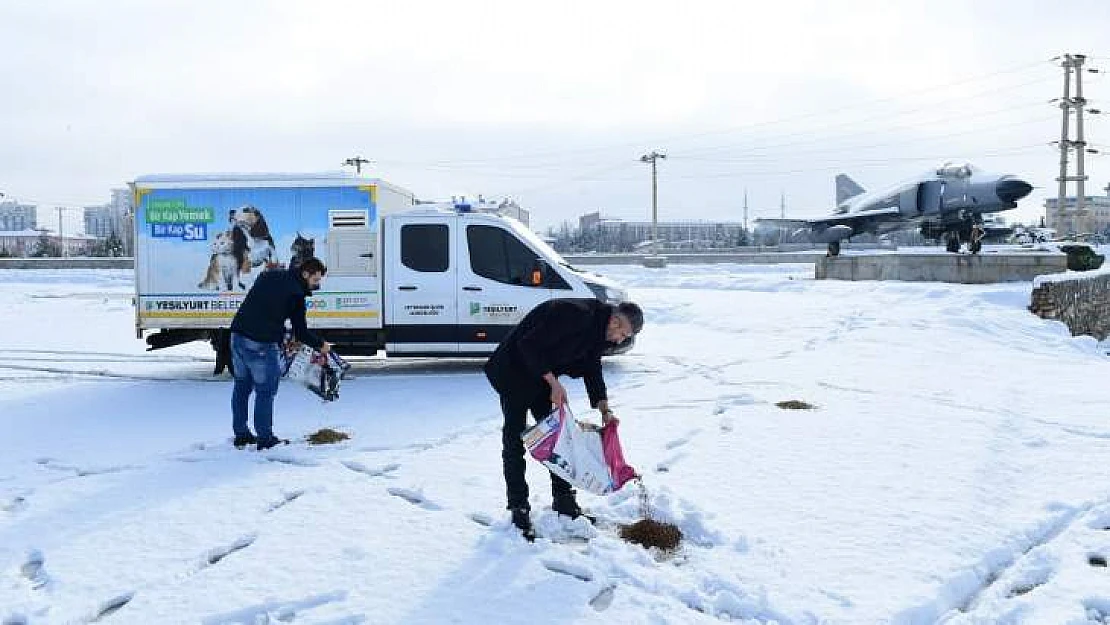 'Canlıları Sevmek Ve Kollamak İnsani Bir Sorumluluktur'