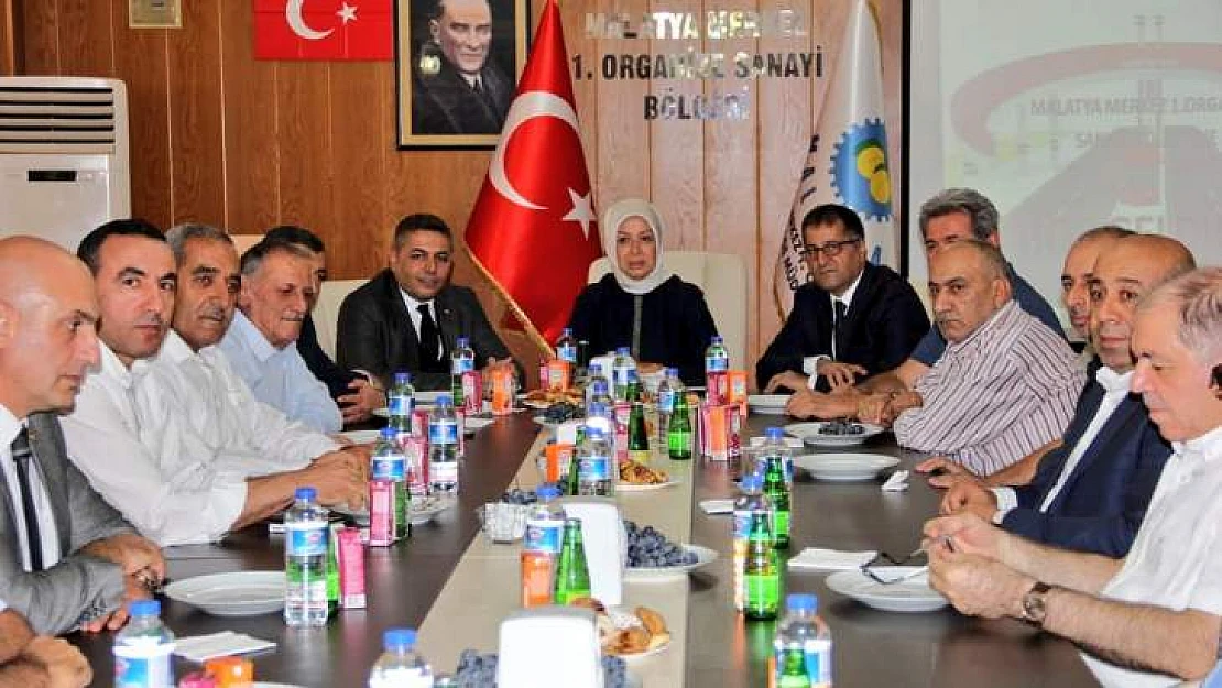 Çalık, Bir Taraftan Şeytan Taşladık, Bir Taraftan Tavaf Yaptık