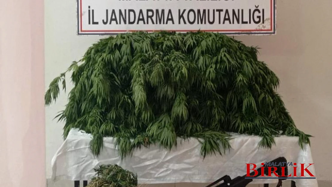 Jandarma Göz Açtırmıyor