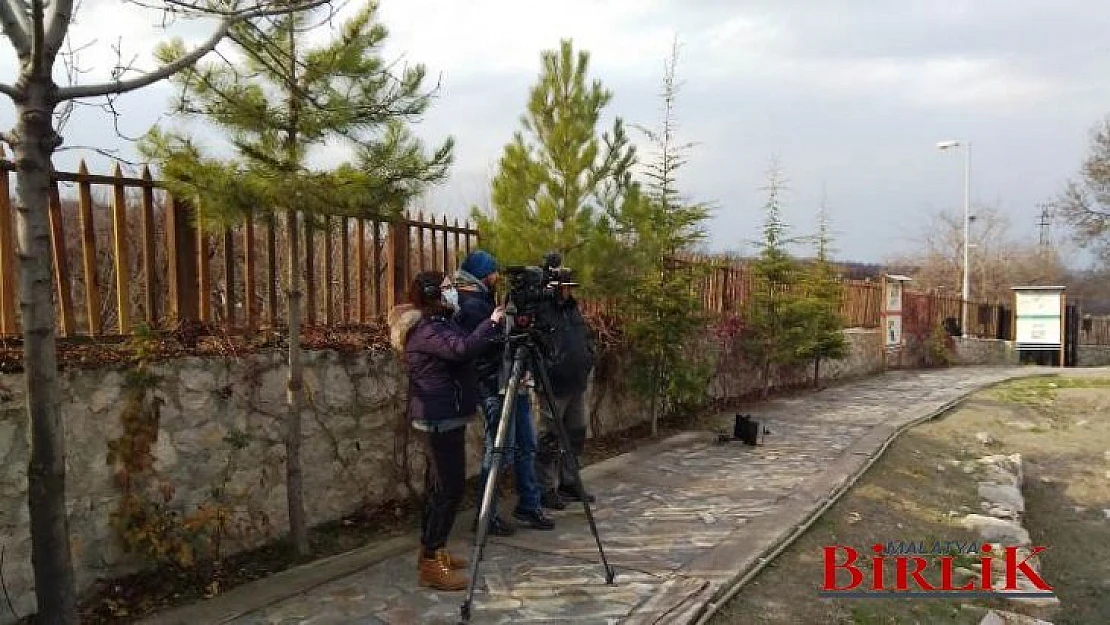 Kültür Ve Turizm Bakanlığı Türkiye Turizm Tanıtım