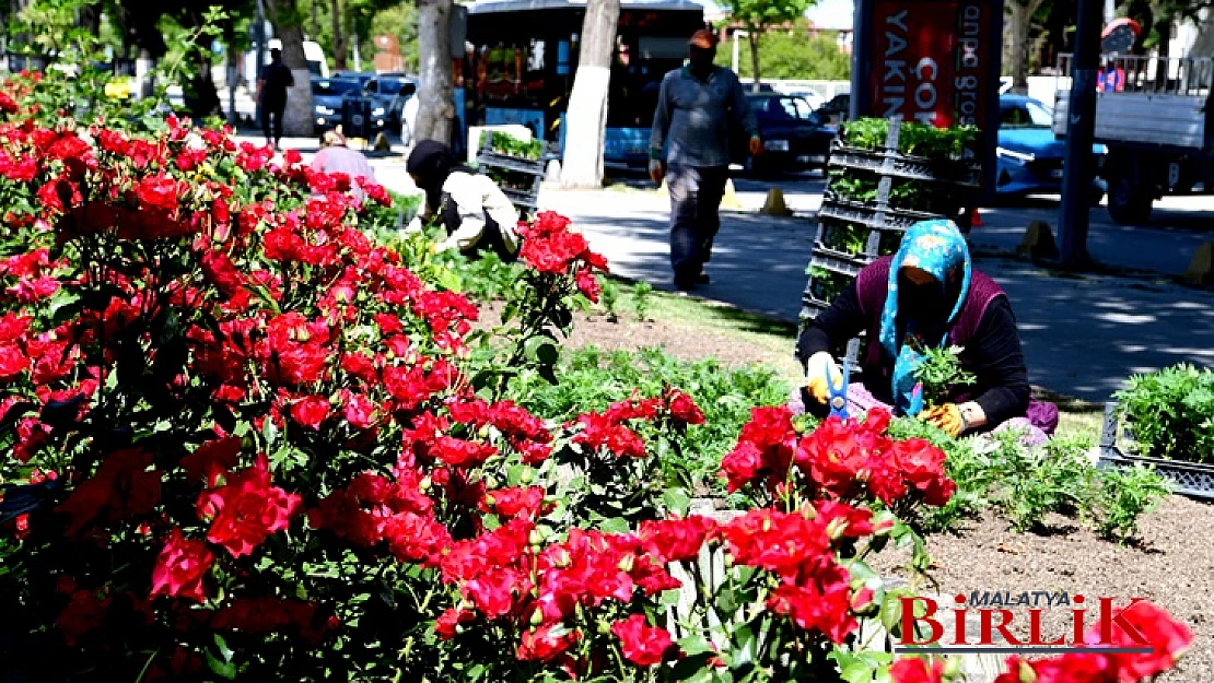 Malatya'da Peyzaj Çalışmaları