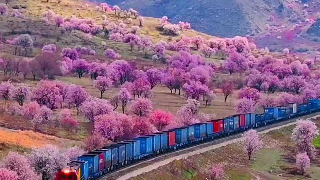 Malatya DDY Bölge Müdürlüğünden Çalışma