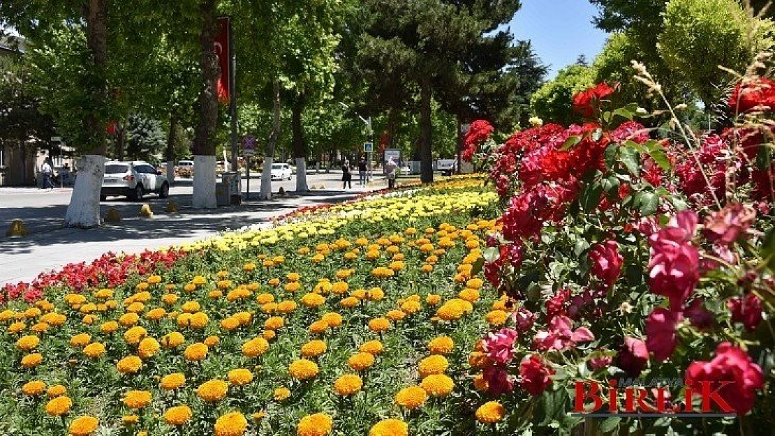 Malatya Rengârenk Görüntüye Bürünüyor 