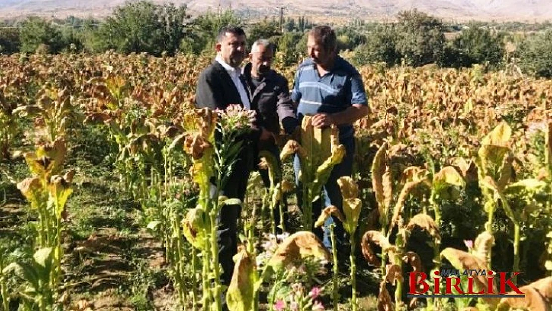 Milletvekili Ağbaba, Neredeyse Tütün Satmak Yasak