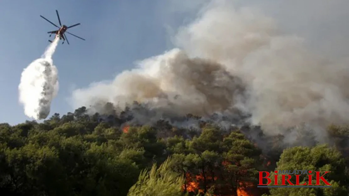 Muğla'da Orman Yangını: 600 Hektar Alan Zarar Gördü