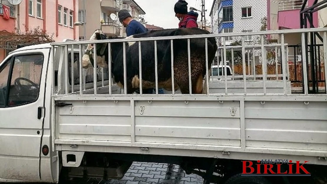 ​​​​​​​Pütürge Emniyetinden Hırsızlara Geçit Yok