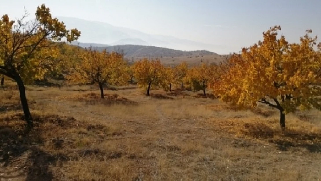 Tarım Arazileri Drone İle Gözlemlenecek