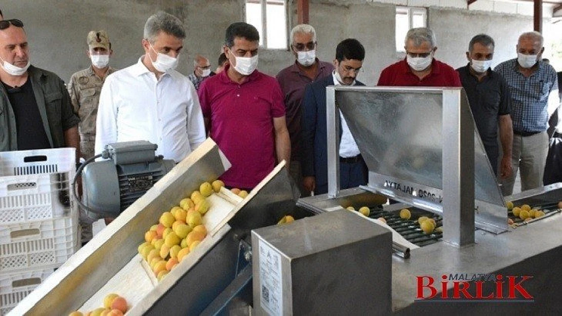 Vali Baruş 'Kayısı Boylama Makinesi' Hibe Programına Katıldı