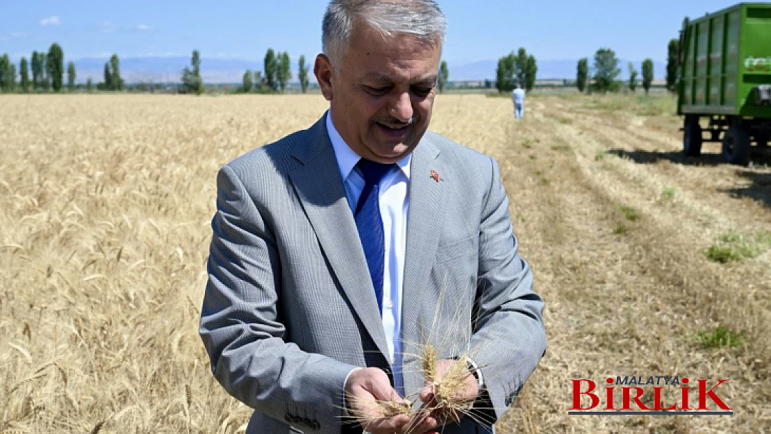 Vali Ersin Yazıcı Buğday Hasadı Programına Katıldı