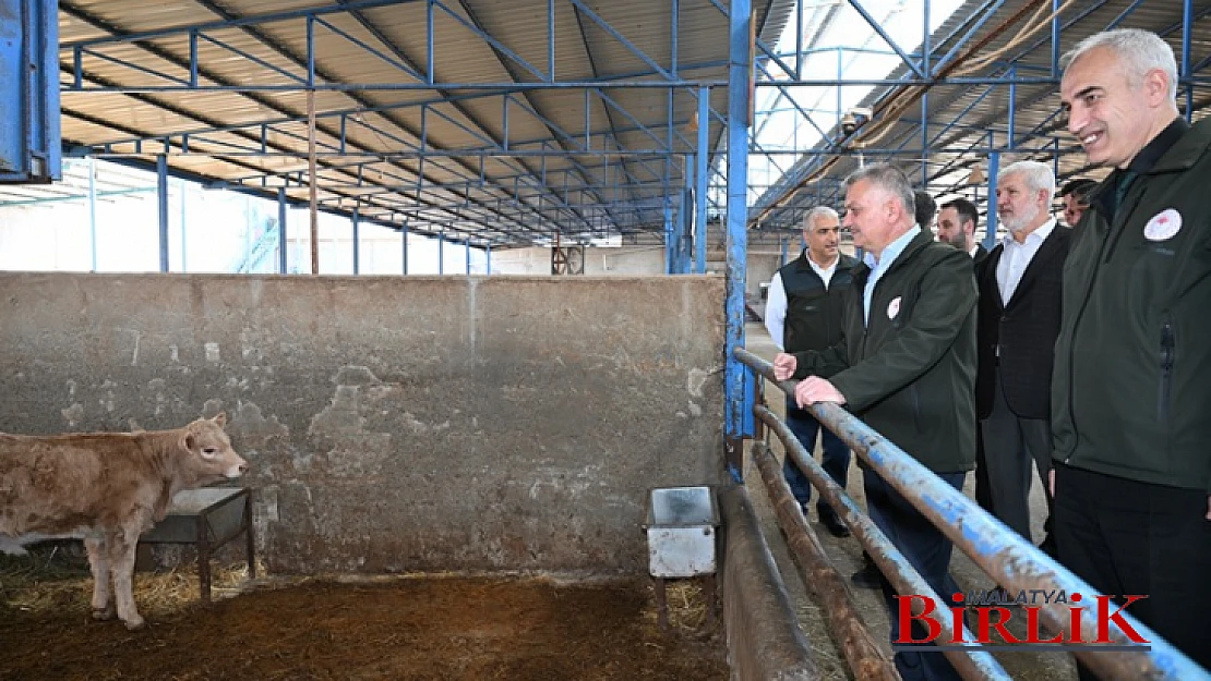 Vali Ersin Yazıcı'dan İlimizde Faaliyet Gösteren Hayvancılık İşletmelerine Ziyaret