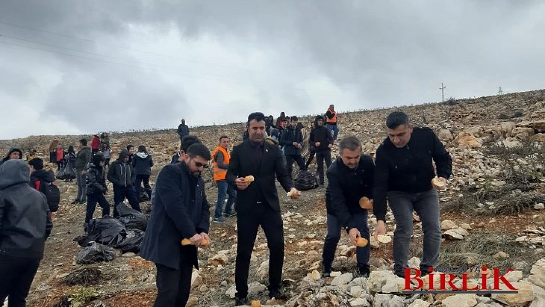 Yaban Hayvanları İçin Doğaya Yiyecek Bırakıldı