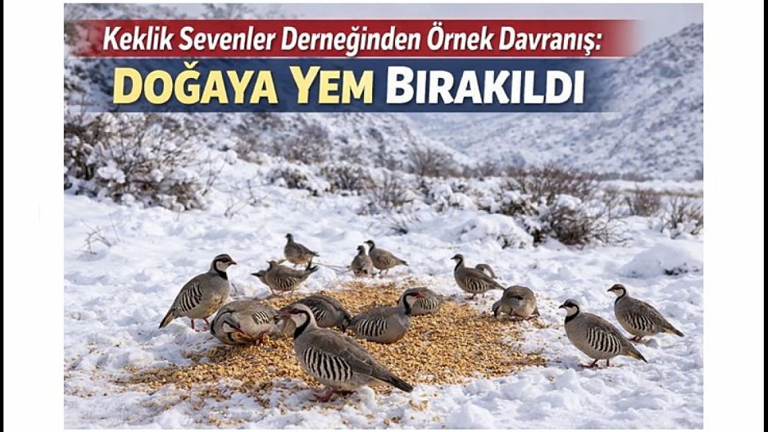 Yaban Hayvanları İçin Kritik Dönem: Avcılara Duyarlılık Çağrısı