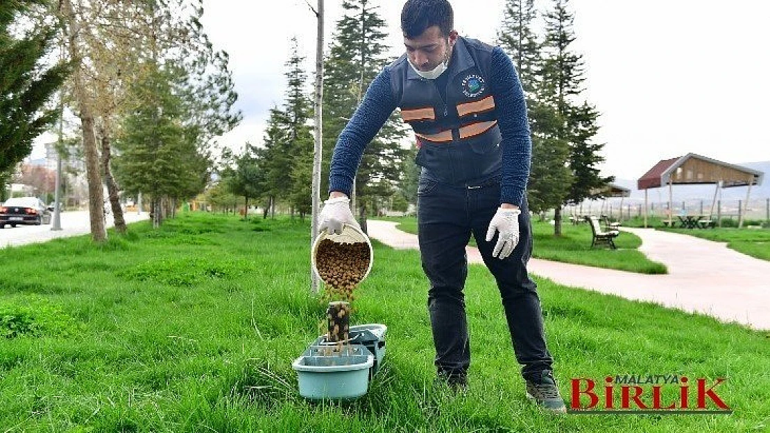 Yeşilyurt Belediyesi, Sokak Hayvanlarını Unutmadı!