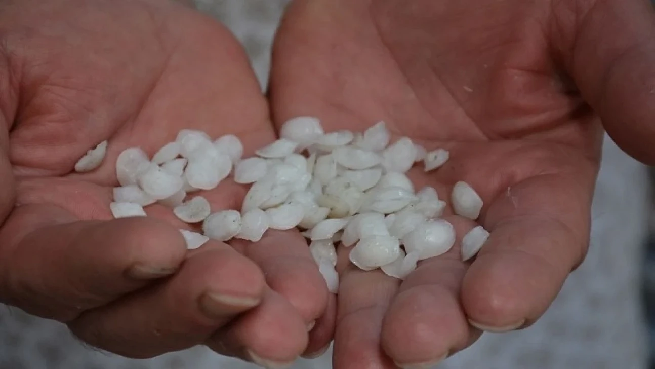 Eşkina Balığı Taşı Mucizesi