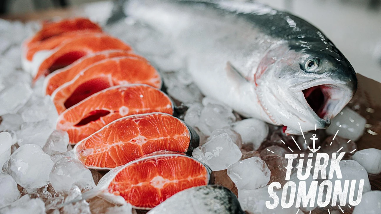Levrek, çipura ve Türk somonu dünya sofralarında