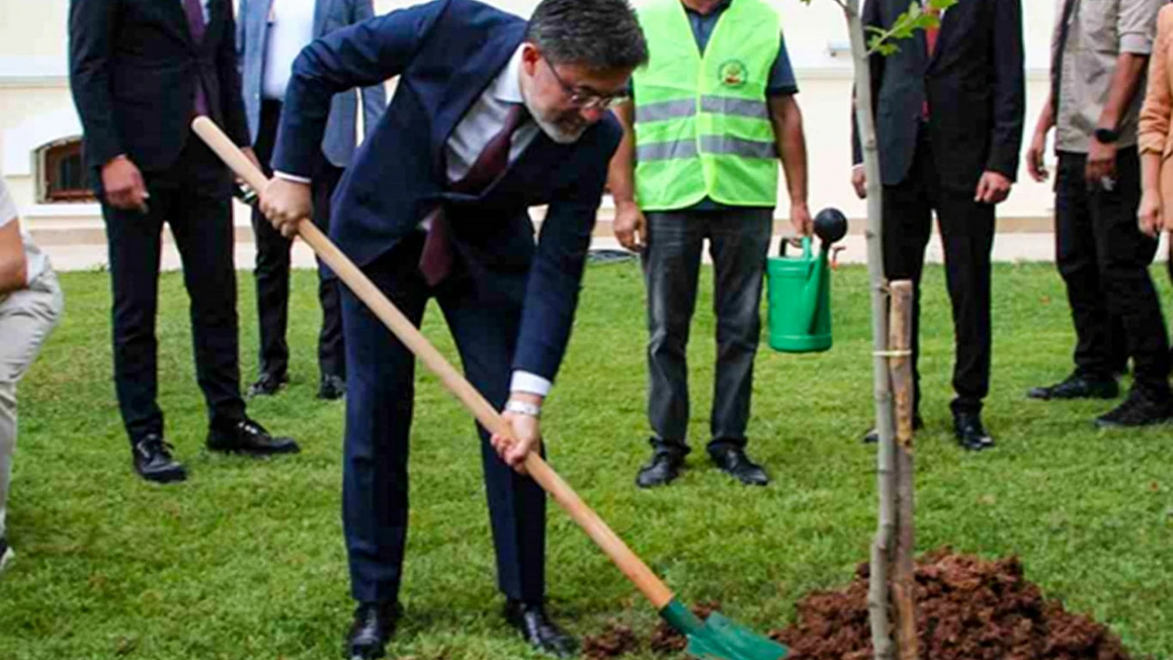 Türkiye, 600 Milyon Fidan Hedefine İlerliyor