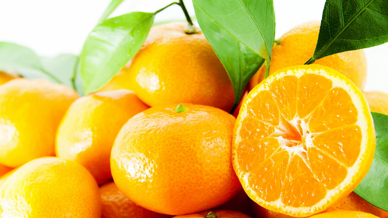 Türkiye Dünyada Mandalina Üretiminde Üçüncü Sırada