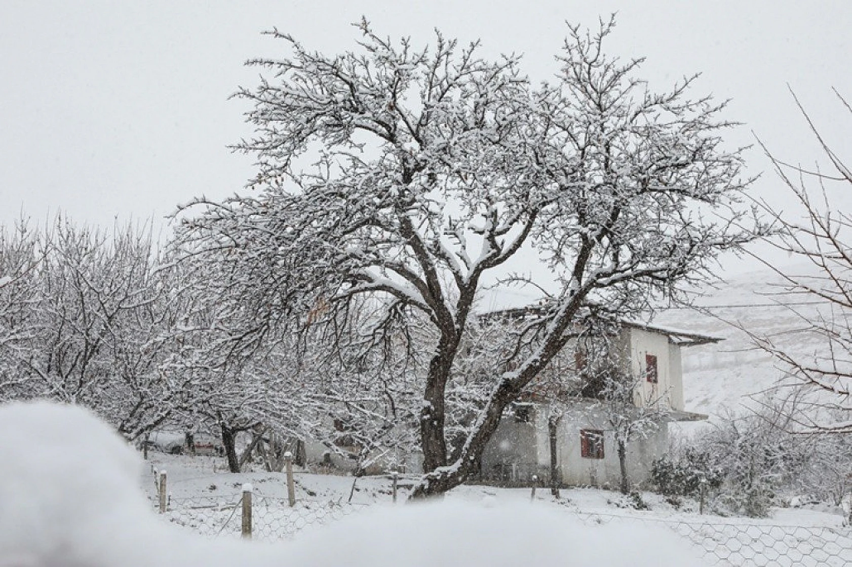 Malatya'da Kış Manzaraları
