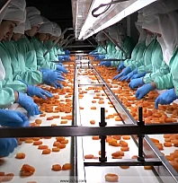 MTB Başkanı Özcan: Zirai Dona Rağmen İhracat Geliri 377 Milyon Doları Aştı